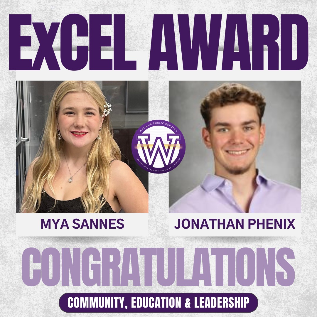 Excel Award