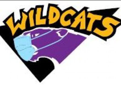 Wildcat Mask